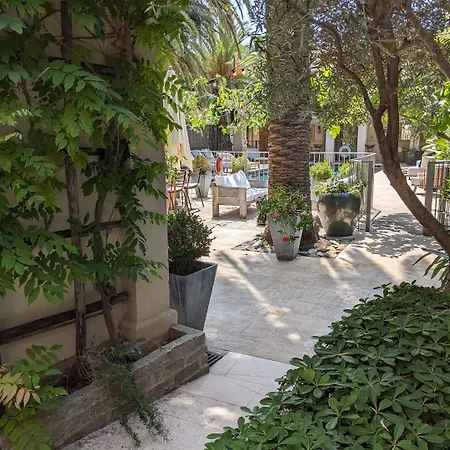 Pastis St Tropez سان تروبيه