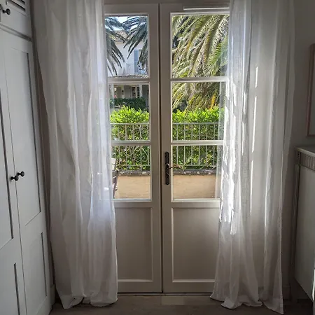 Pastis St Tropez سان تروبيه
